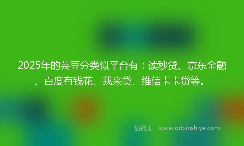 2025年的芸豆分类似平台有：读秒贷、京东金融、百度有钱花、我来贷、维信卡卡贷等。