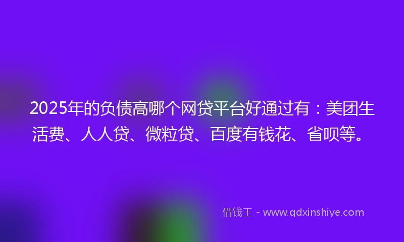 2025年的负债高哪个网贷平台好通过有：美团生活费、人人贷、微粒贷、百度有钱花、省呗等。