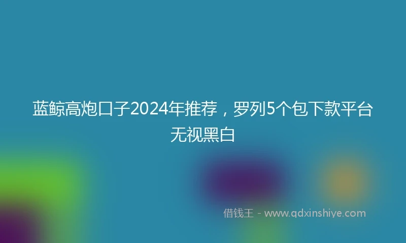 蓝鲸高炮口子2024年推荐，罗列5个包下款平台无视黑白
