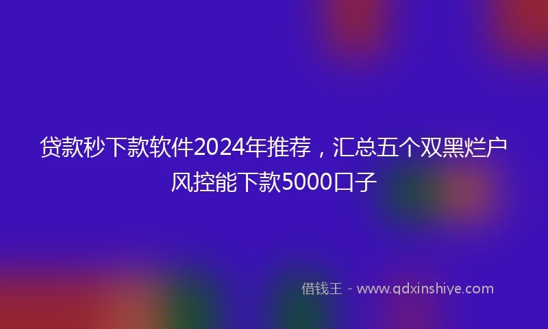 贷款秒下款软件2024年推荐，汇总五个双黑烂户风控能下款5000口子