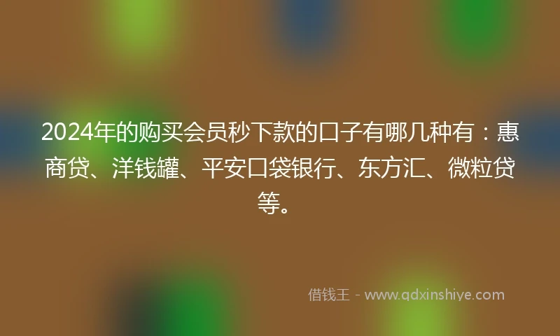 2024年的购买会员秒下款的口子有哪几种有：惠商贷、洋钱罐、平安口袋银行、东方汇、微粒贷等。
