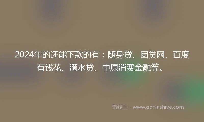 2024年的还能下款的有：随身贷、团贷网、百度有钱花、滴水贷、中原消费金融等。