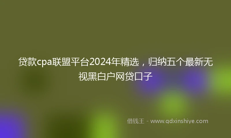 贷款cpa联盟平台2024年精选，归纳五个最新无视黑白户网贷口子