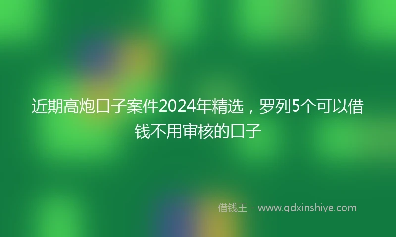 近期高炮口子案件2024年精选，罗列5个可以借钱不用审核的口子