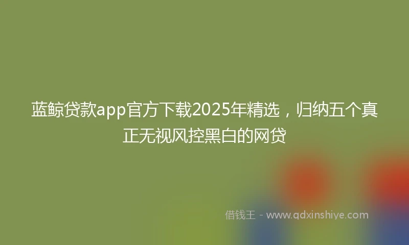 蓝鲸贷款app官方下载2025年精选，归纳五个真正无视风控黑白的网贷