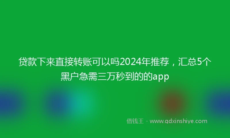 贷款下来直接转账可以吗2024年推荐，汇总5个黑户急需三万秒到的的app
