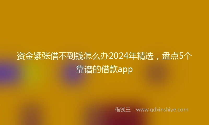 资金紧张借不到钱怎么办2024年精选，盘点5个靠谱的借款app
