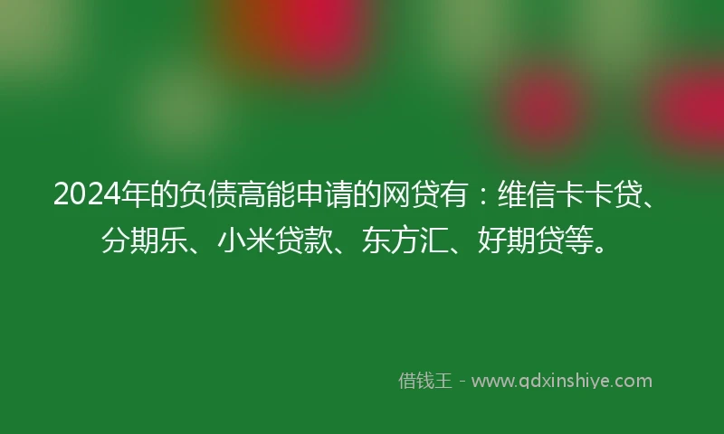2024年的负债高能申请的网贷有：维信卡卡贷、分期乐、小米贷款、东方汇、好期贷等。