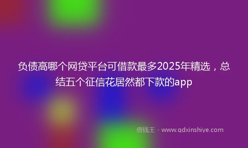 负债高哪个网贷平台可借款最多2025年精选，总结五个征信花居然都下款的app