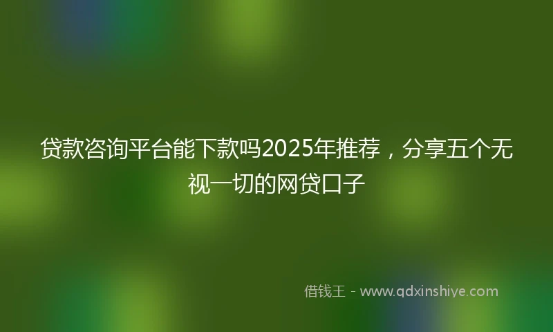 贷款咨询平台能下款吗2025年推荐,分享五个无视一切的网贷口子