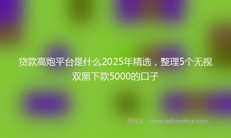 贷款高炮平台是什么2025年精选，整理5个无视双黑下款5000的口子