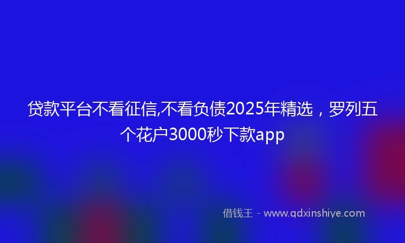 贷款平台不看征信,不看负债2025年精选，罗列五个花户3000秒下款app