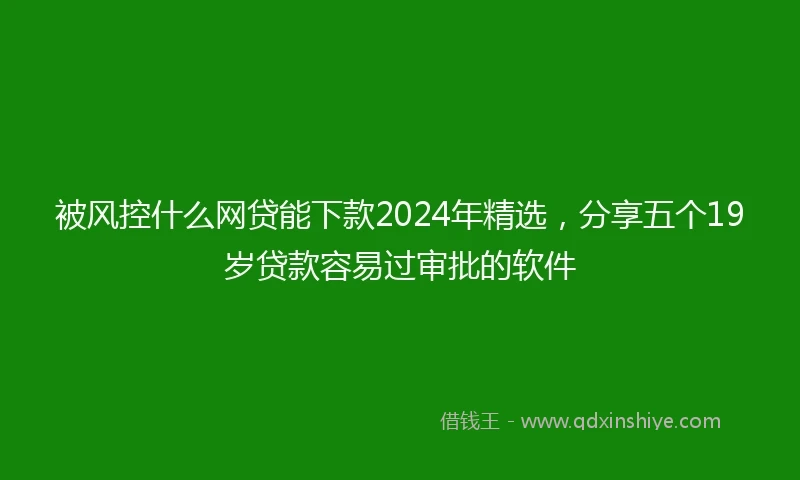 被风控什么网贷能下款2024年精选，分享五个19岁贷款容易过审批的软件