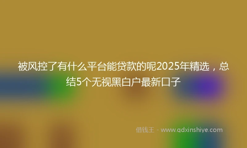 被风控了有什么平台能贷款的呢2025年精选，总结5个无视黑白户最新口子