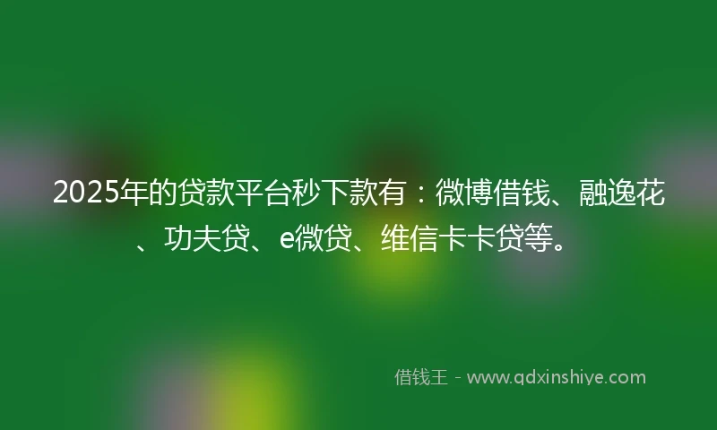 2025年的贷款平台秒下款有：微博借钱、融逸花、功夫贷、e微贷、维信卡卡贷等。