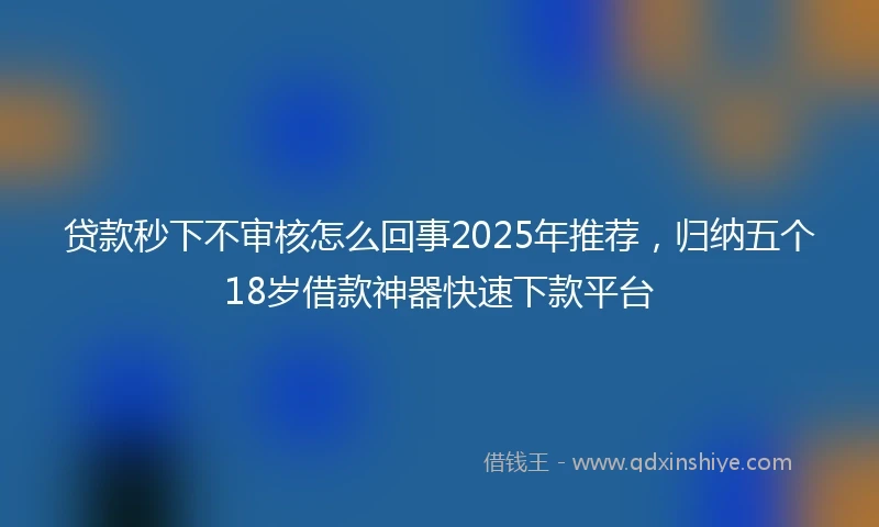 贷款秒下不审核怎么回事2025年推荐，归纳五个18岁借款神器快速下款平台