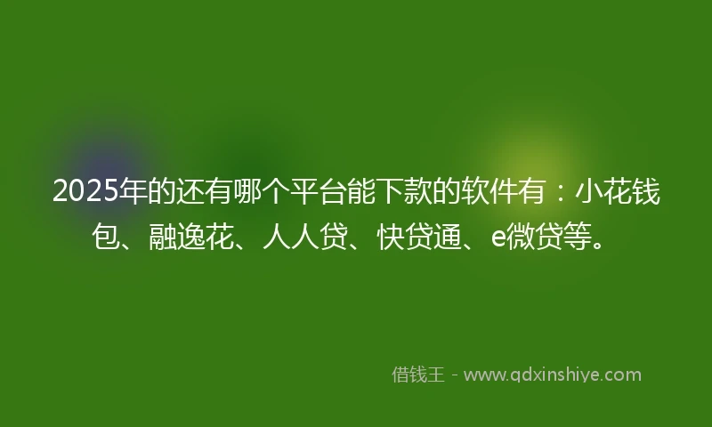 2025年的还有哪个平台能下款的软件有：小花钱包、融逸花、人人贷、快贷通、e微贷等。