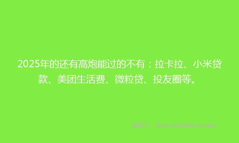 2025年的还有高炮能过的不有：拉卡拉、小米贷款、美团生活费、微粒贷、投友圈等。