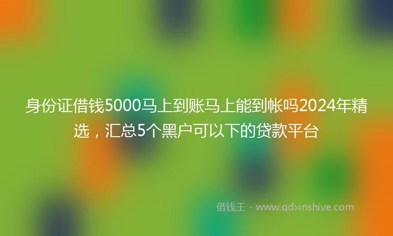 身份证借钱5000马上到账马上能到帐吗2024年精选，汇总5个黑户可以下的贷款平台