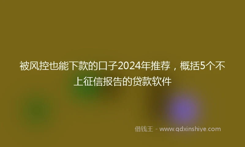 被风控也能下款的口子2024年推荐，概括5个不上征信报告的贷款软件