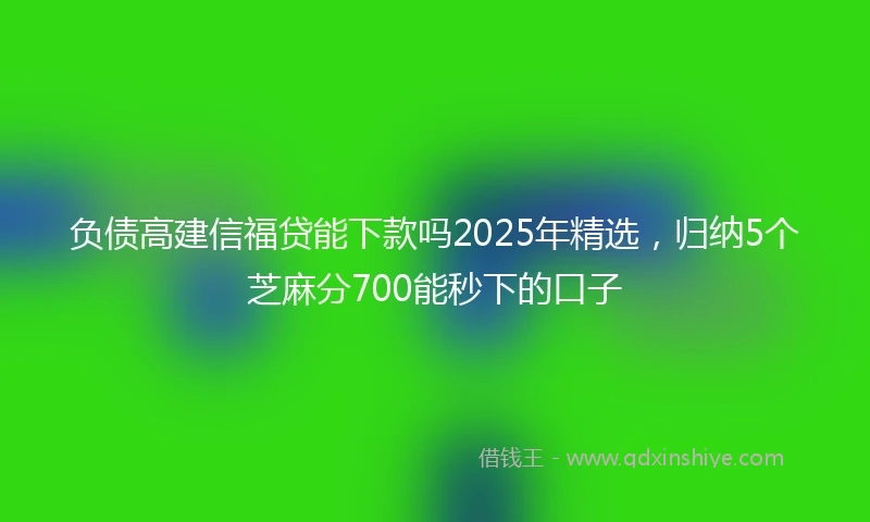 负债高建信福贷能下款吗2025年精选，归纳5个芝麻分700能秒下的口子