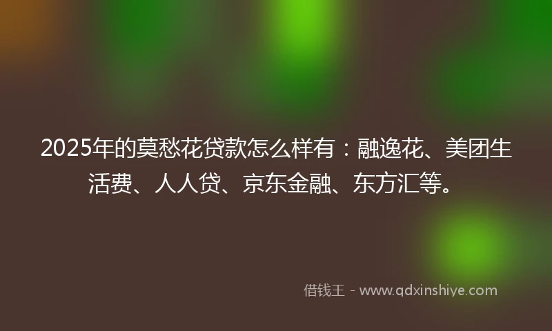 2025年的莫愁花贷款怎么样有：融逸花、美团生活费、人人贷、京东金融、东方汇等。