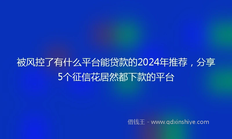 被风控了有什么平台能贷款的2024年推荐，分享5个征信花居然都下款的平台