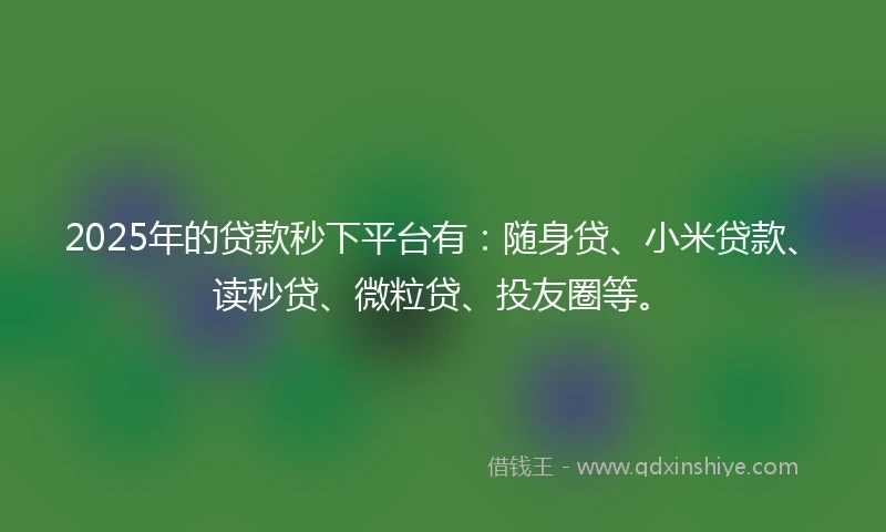 2025年的贷款秒下平台有：随身贷、小米贷款、读秒贷、微粒贷、投友圈等。