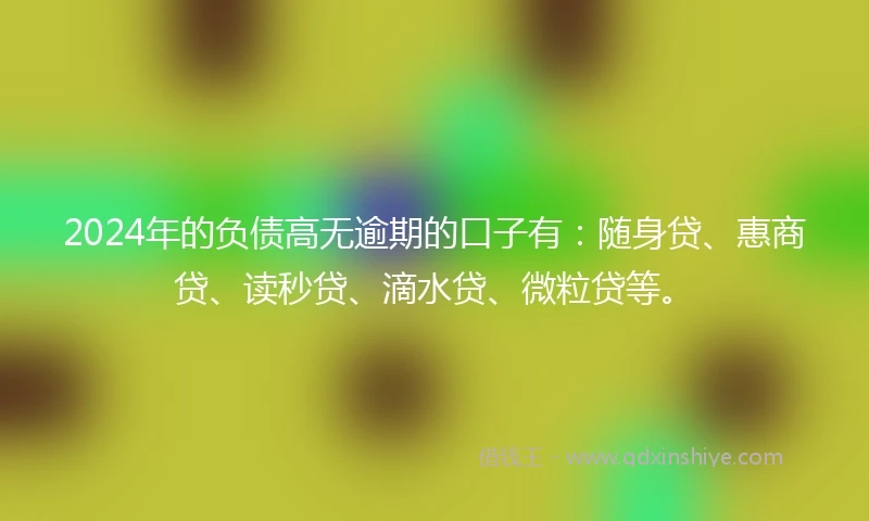 2024年的负债高无逾期的口子有：随身贷、惠商贷、读秒贷、滴水贷、微粒贷等。