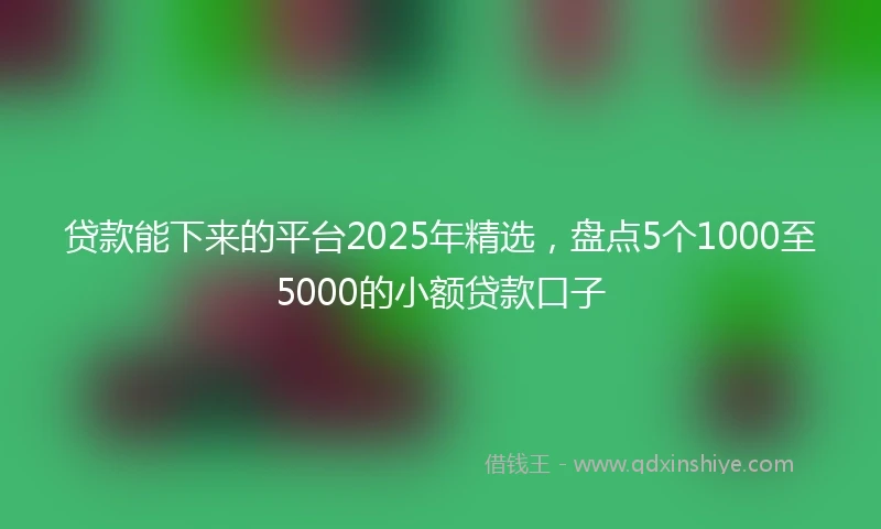 贷款能下来的平台2025年精选，盘点5个1000至5000的小额贷款口子