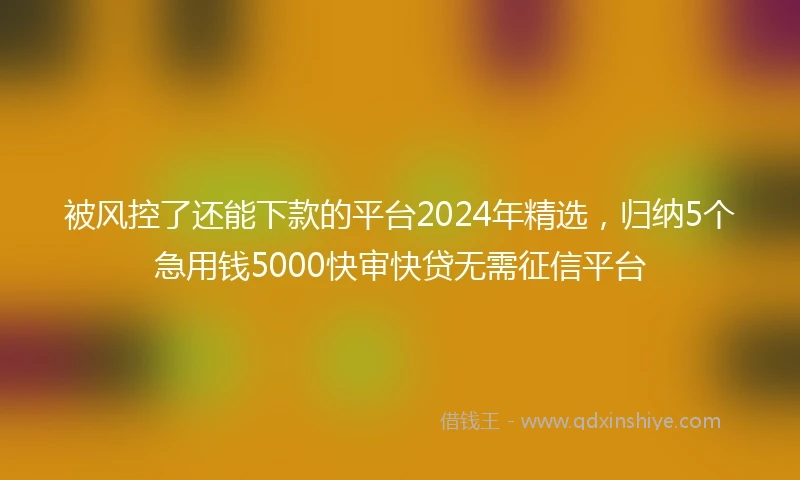 被风控了还能下款的平台2024年精选，归纳5个急用钱5000快审快贷无需征信平台