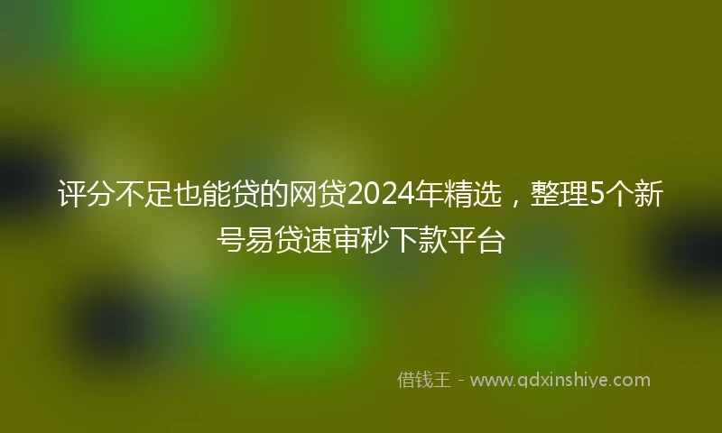 评分不足也能贷的网贷2024年精选，整理5个新号易贷速审秒下款平台