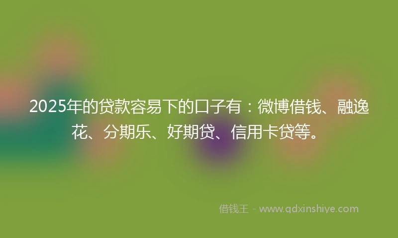 2025年的贷款容易下的口子有：微博借钱、融逸花、分期乐、好期贷、信用卡贷等。