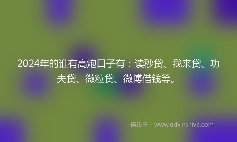 2024年的谁有高炮口子有：读秒贷、我来贷、功夫贷、微粒贷、微博借钱等。