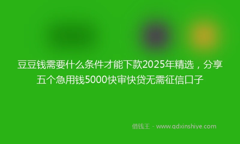 豆豆钱需要什么条件才能下款2025年精选，分享五个急用钱5000快审快贷无需征信口子