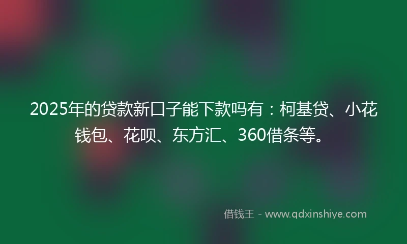 2025年的贷款新口子能下款吗有：柯基贷、小花钱包、花呗、东方汇、360借条等。