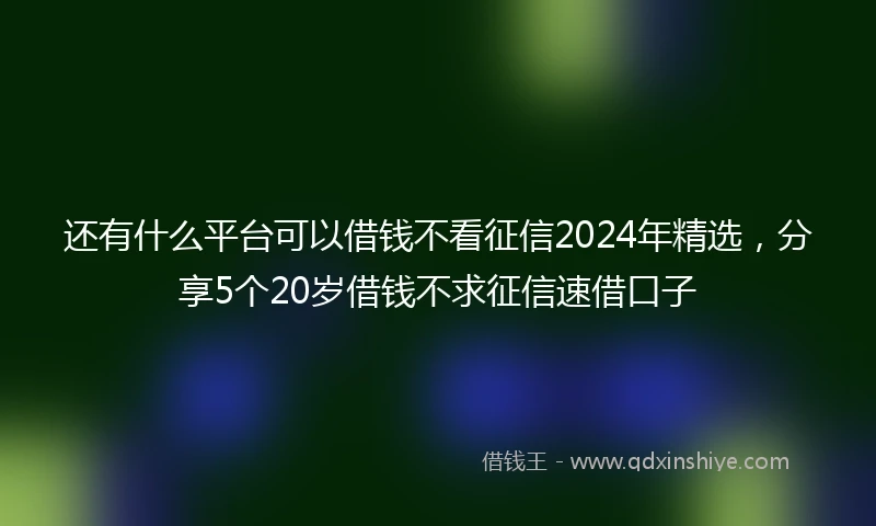 还有什么平台可以借钱不看征信2024年精选，分享5个20岁借钱不求征信速借口子