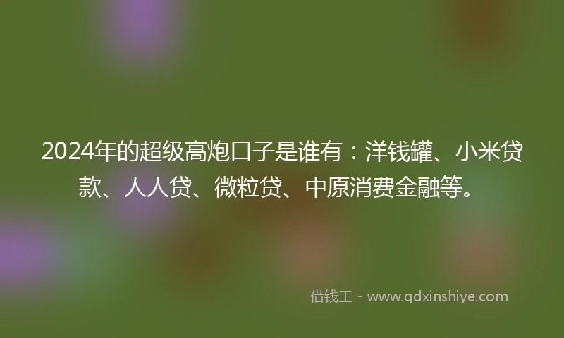 2024年的超级高炮口子是谁有：洋钱罐、小米贷款、人人贷、微粒贷、中原消费金融等。