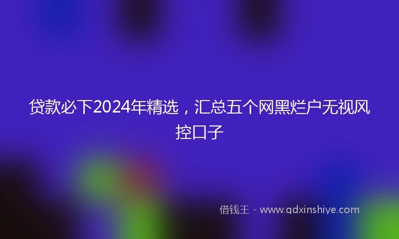 贷款必下2024年精选，汇总五个网黑烂户无视风控口子