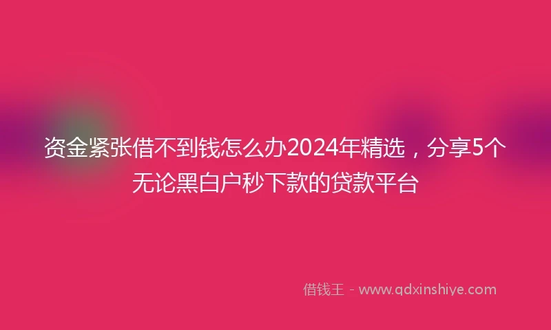 资金紧张借不到钱怎么办2024年精选，分享5个无论黑白户秒下款的贷款平台
