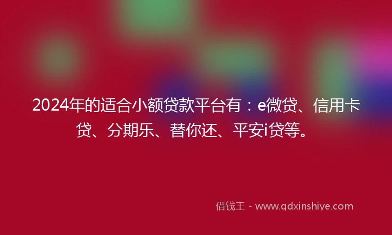 2024年的适合小额贷款平台有：e微贷、信用卡贷、分期乐、替你还、平安i贷等。