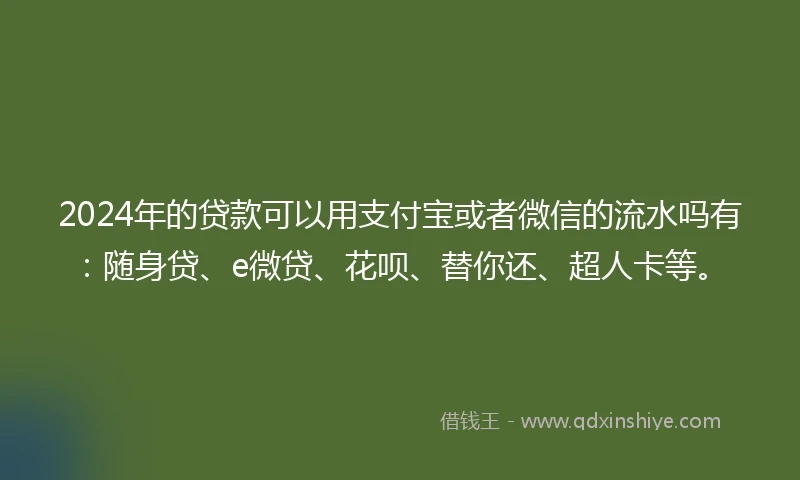 2024年的贷款可以用支付宝或者微信的流水吗有：随身贷、e微贷、花呗、替你还、超人卡等。
