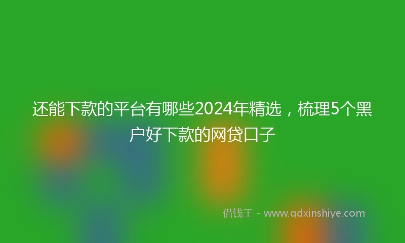 还能下款的平台有哪些2024年精选，梳理5个黑户好下款的网贷口子