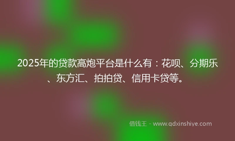 2025年的贷款高炮平台是什么有：花呗、分期乐、东方汇、拍拍贷、信用卡贷等。
