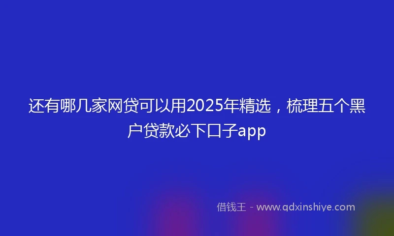 还有哪几家网贷可以用2025年精选，梳理五个黑户贷款必下口子app