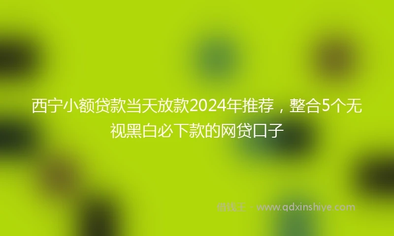 西宁小额贷款当天放款2024年推荐，整合5个无视黑白必下款的网贷口子