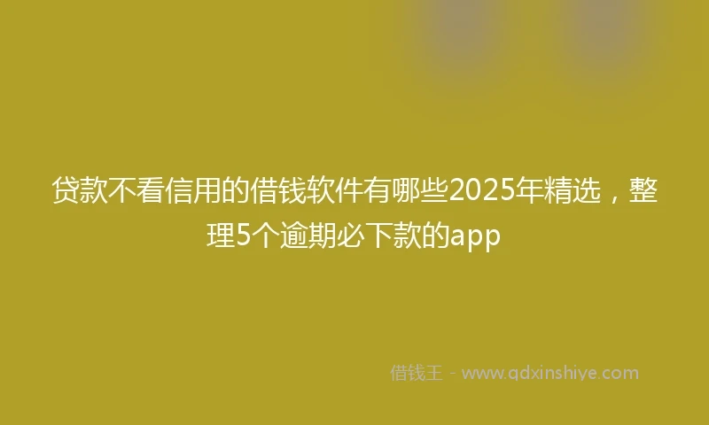 贷款不看信用的借钱软件有哪些2025年精选，整理5个逾期必下款的app