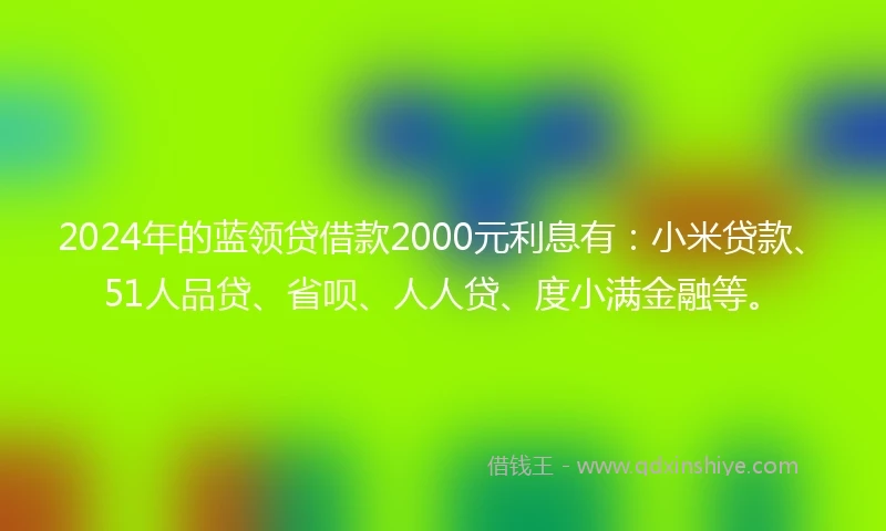 2024年的蓝领贷借款2000元利息有：小米贷款、51人品贷、省呗、人人贷、度小满金融等。