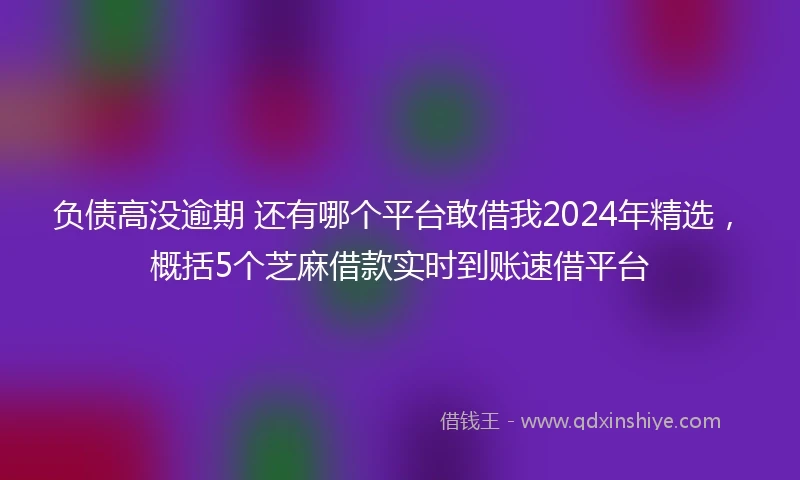 负债高没逾期 还有哪个平台敢借我2024年精选，概括5个芝麻借款实时到账速借平台