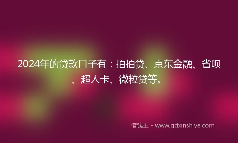 2024年的贷款口子有：拍拍贷、京东金融、省呗、超人卡、微粒贷等。